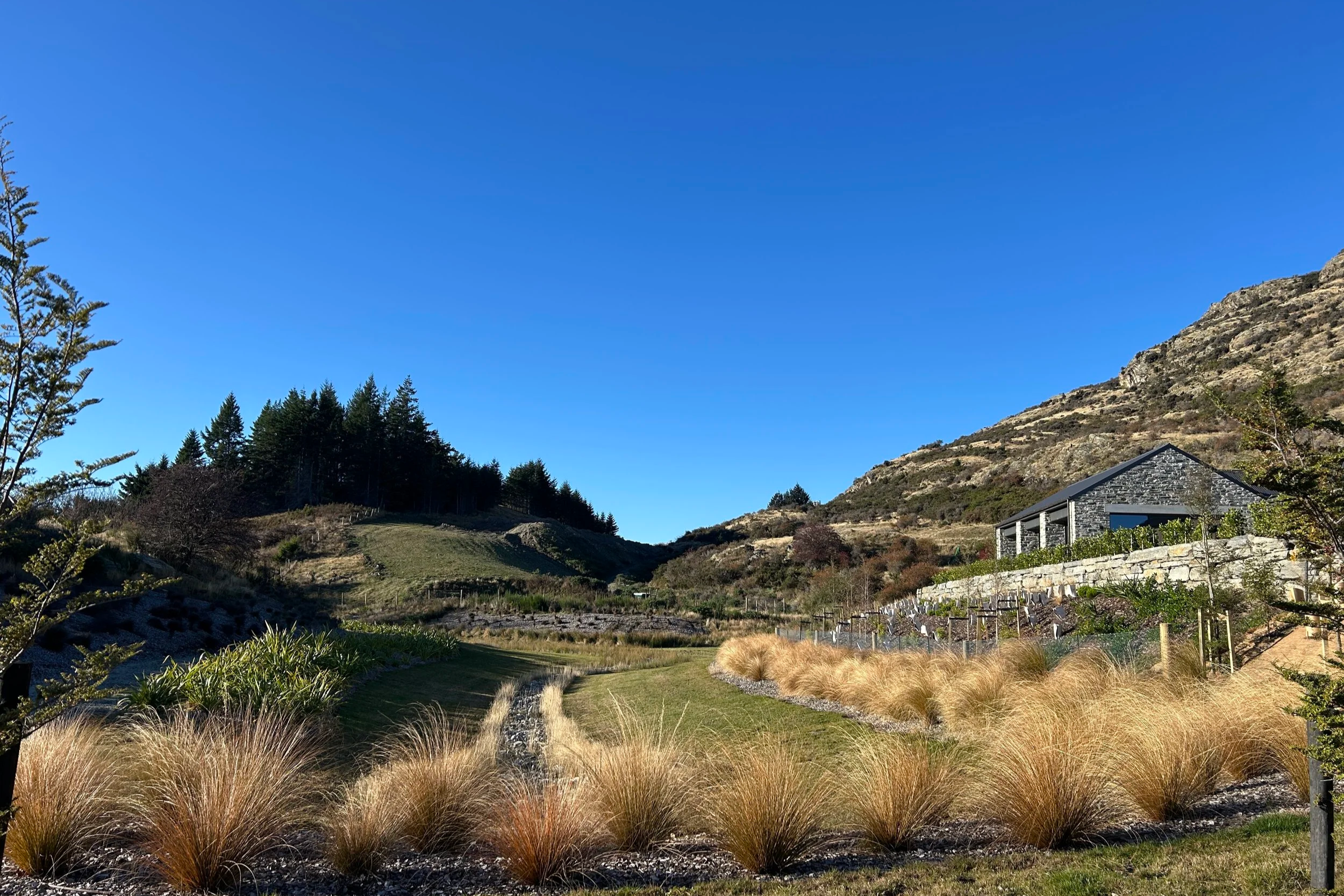 Peninsula Hill
