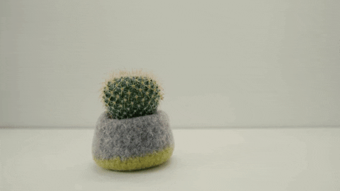 Canberra.gif