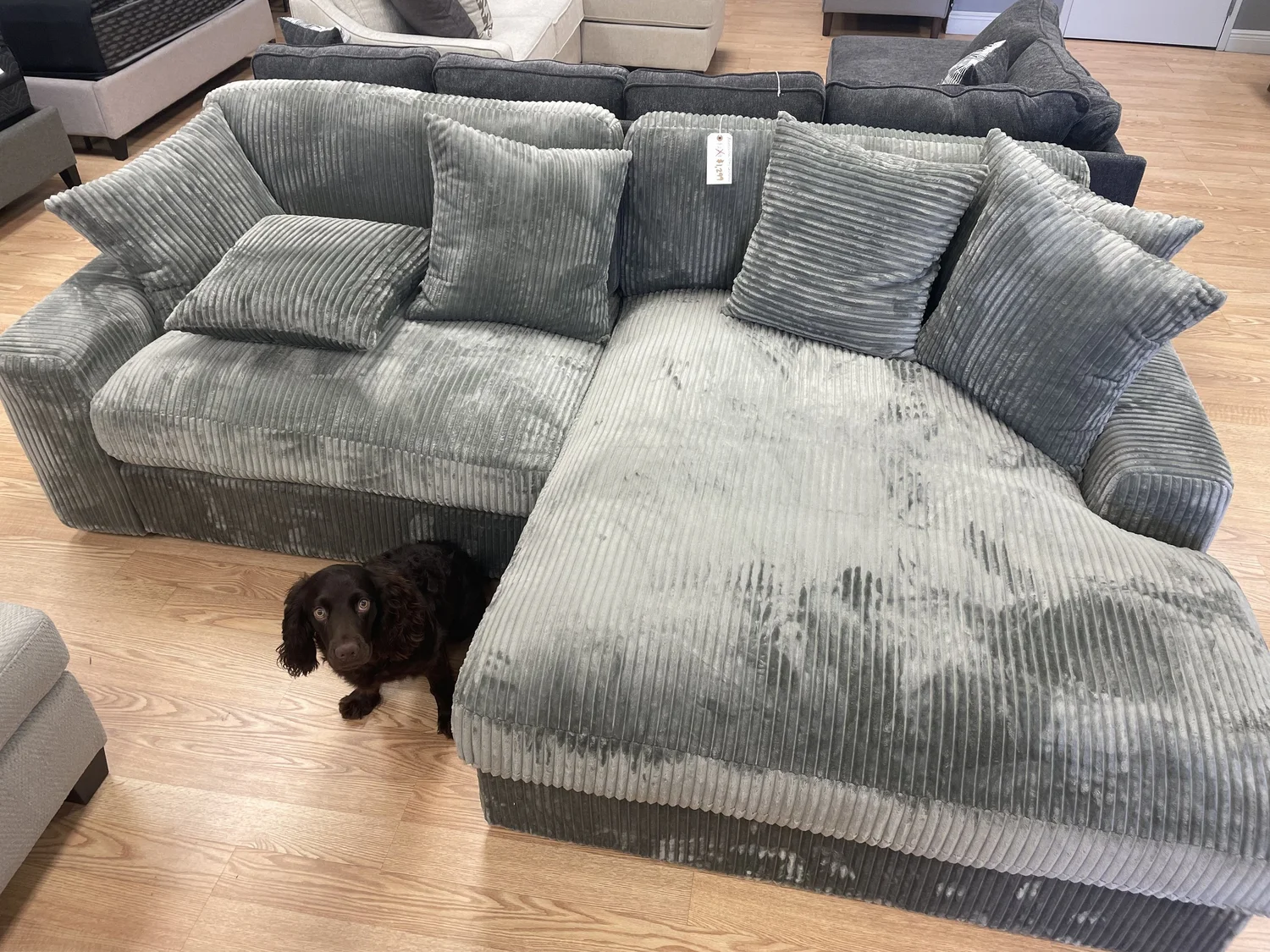 Mattress & Furniture Center of Tupelo