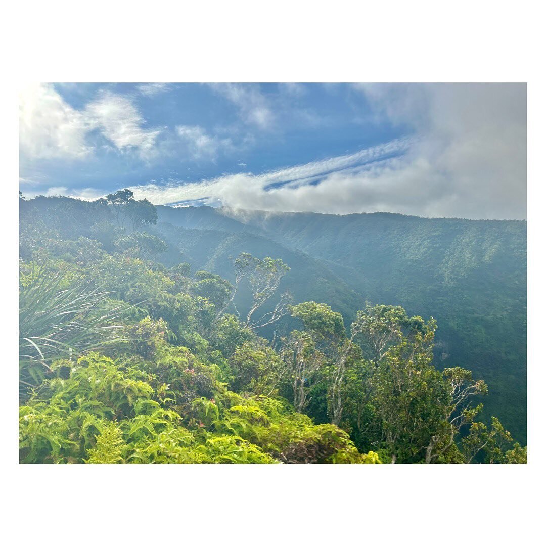 The realm of the gods

In the Hawaiian worldview, practically everything&mdash;breezes, rains, clouds, mists, rocks, trees, ferns, vines, springs, birds, spiders, and all&mdash;is a manifestation of a god, spirit, and/or ancestor. 

You are never alo