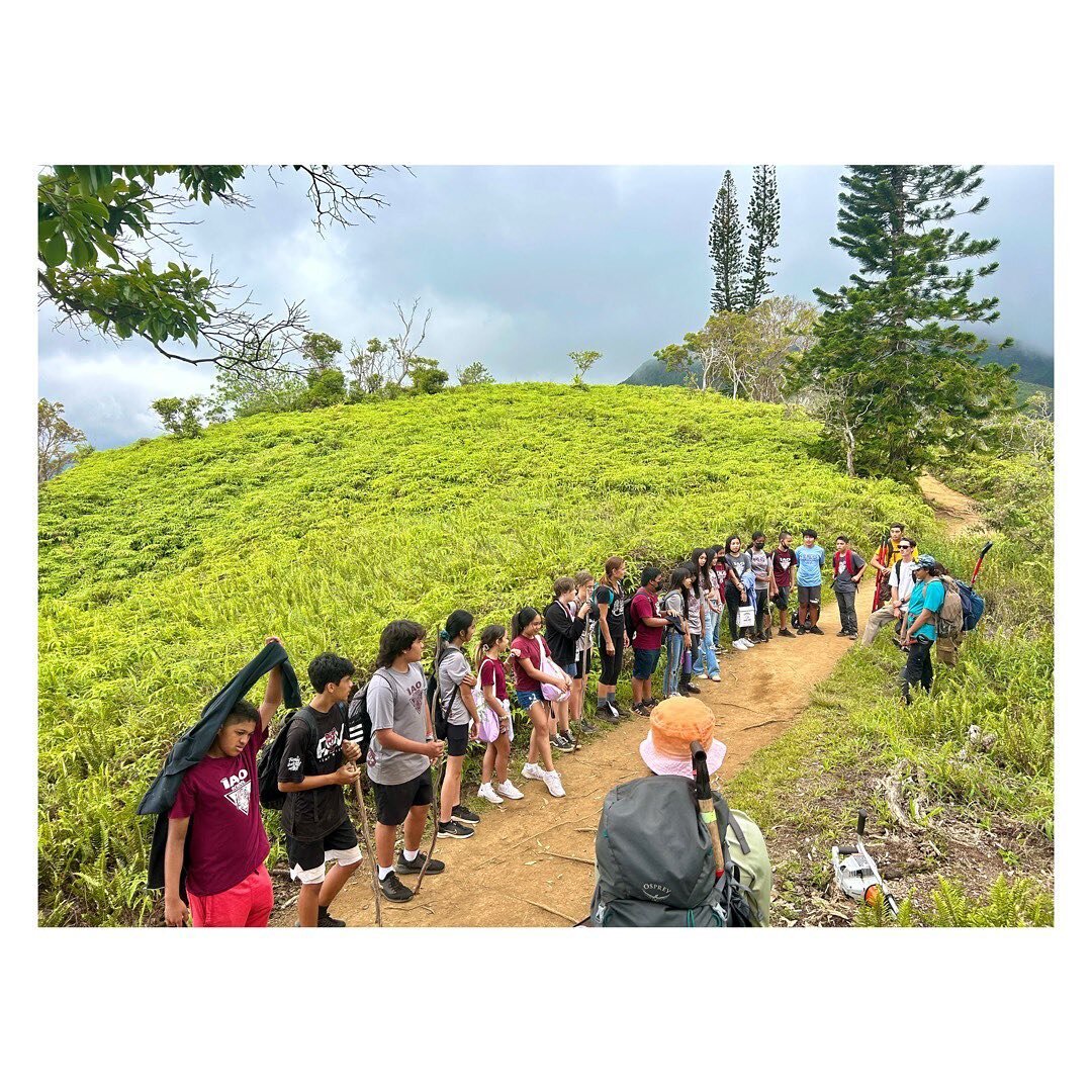 Mahalo nui loa to the 7th grade science classes of @iaointermediate for joining us on Waiheʻe Ridge Trail to clear invasive species and plant native plants!

We know the future is bright when the next generation gets into some good mālama ʻāina actio