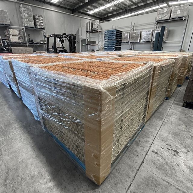 Ready for delivery today! Have you placed your orders?
🥚  #SunriseEggs #eggs #eggs #egggang #eggs🍳 #egglover #warehouse #cafe #melbournecafeculture #baking #cooking