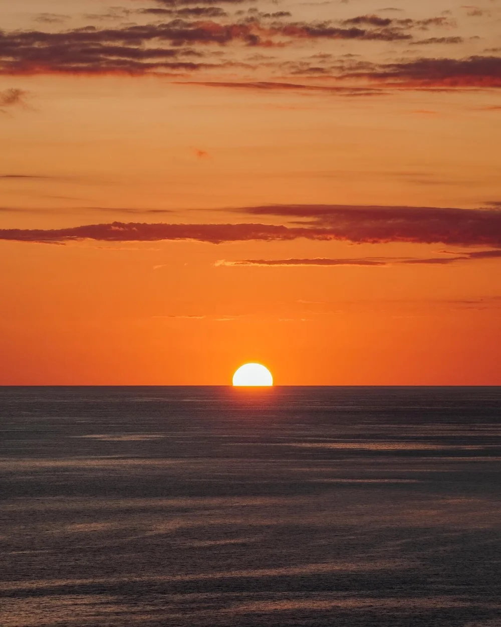 We&rsquo;re back in Colorado, but I still have way too many Costa Rica pics to share. I didn&rsquo;t think I&rsquo;d be saying this, but I actually miss getting woken up by howler monkeys at the crack of dawn every morning!🐒

#puravida #uvitabeach #