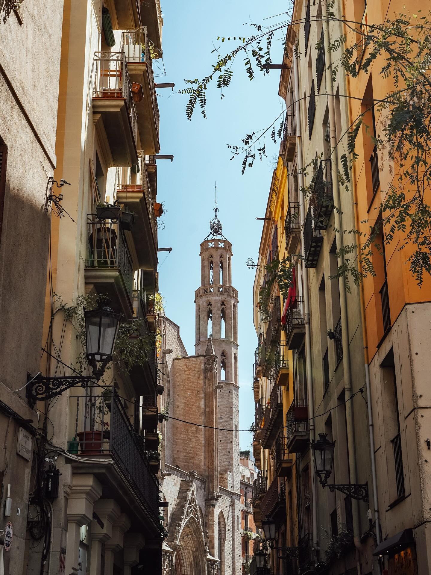 Just your average stroll down a narrow street in Barcelona.

#barcelonastreets #gothicquarter #spaintravel #hiddenbarcelona #streetviewvibes #travelmoments #architecturelovers #wanderwithme #cityexplorers #offthebeatenpath #everydaybarcelona #slowtra