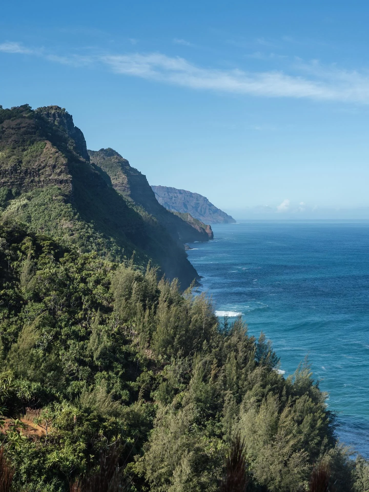 Hiking the Nā Pali coast is hard to beat. 

#napalicoast #kalalautrail #kauaihiking #hawaiihikes #hawaiiadventure #coasthike #hikehawaii #bucketlisthike #trailviews #hikingparadise #naturefix #explorekauai #islandtrails