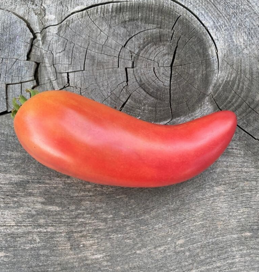 Screen Shot 2025-01-23 at 1.12.46 PM.png