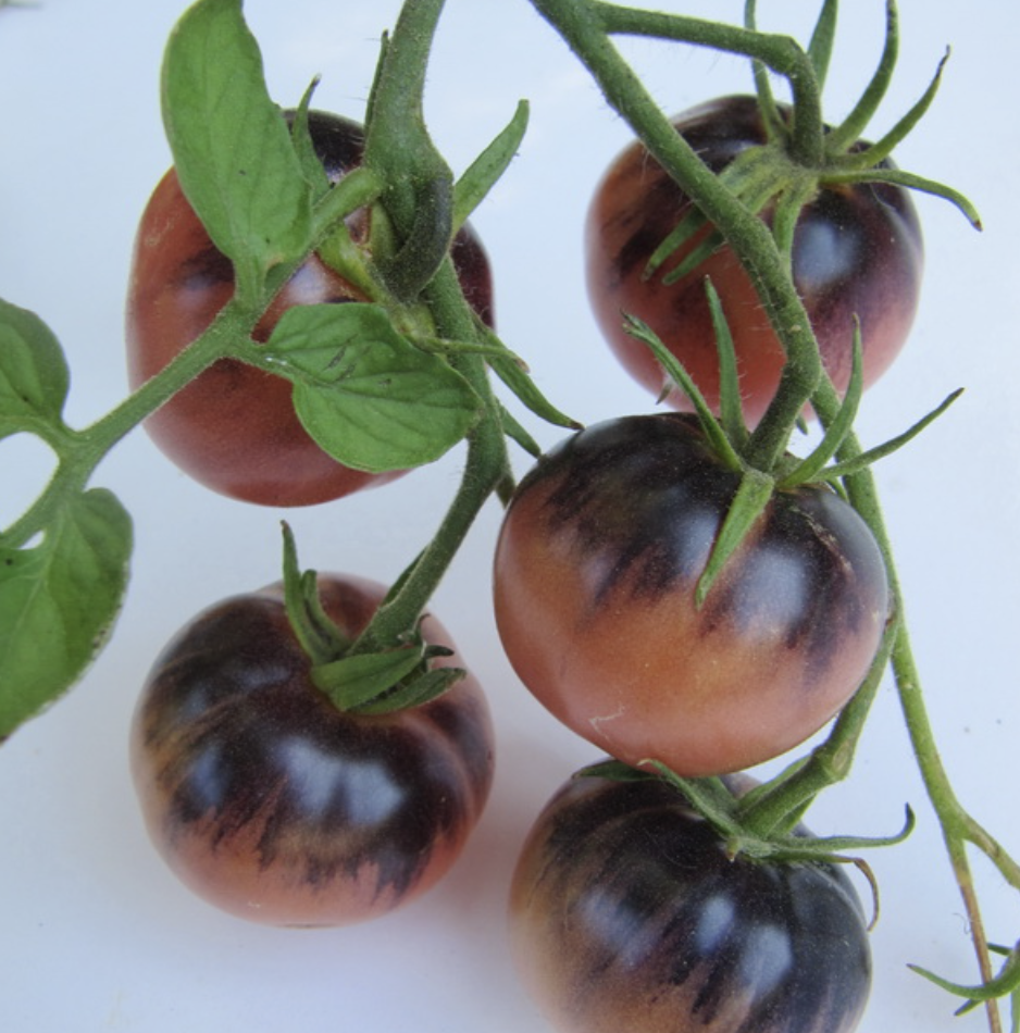 Amethyst Jewel WB.png