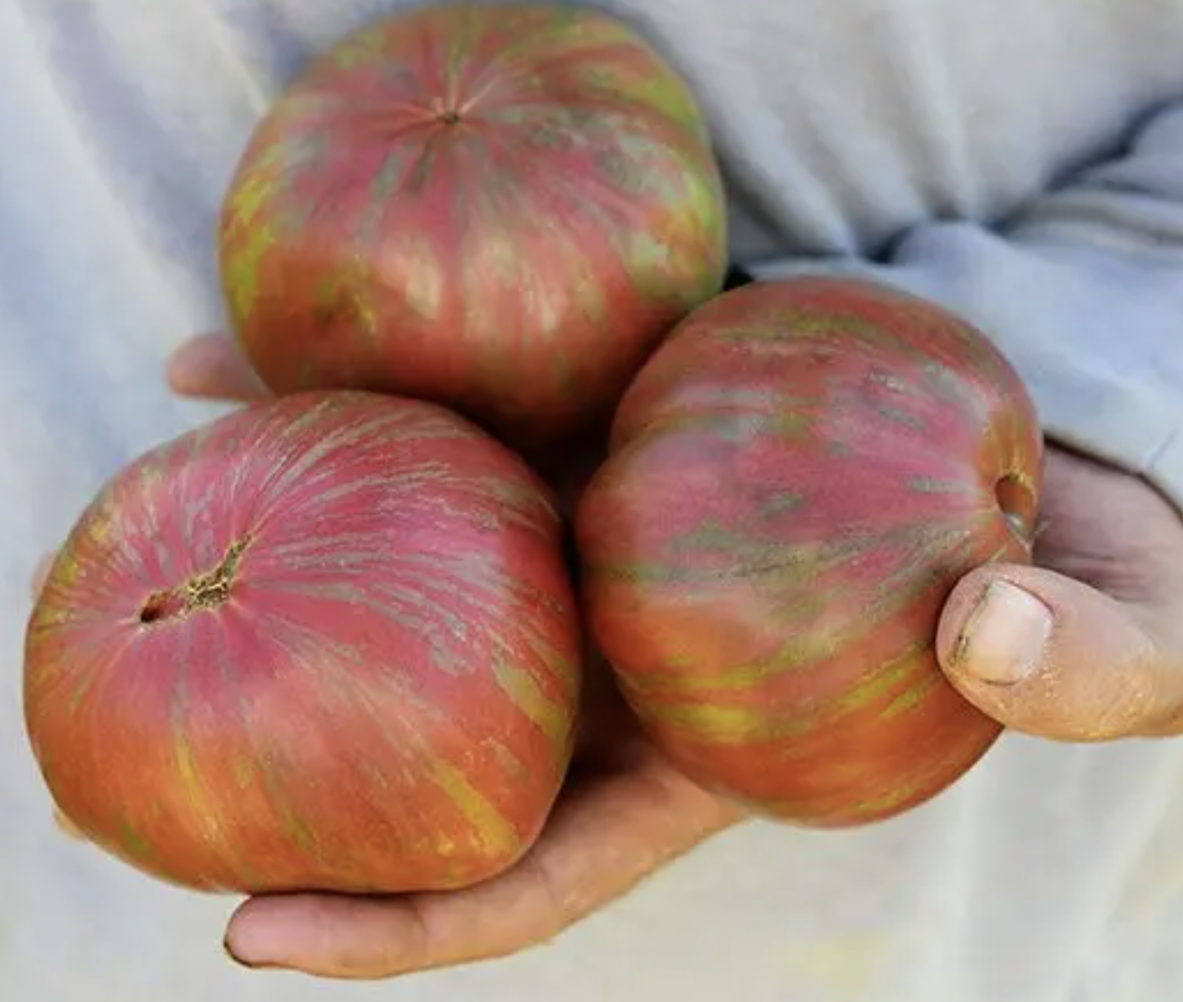 Berkeley Pink Tie-Dye, #2.png