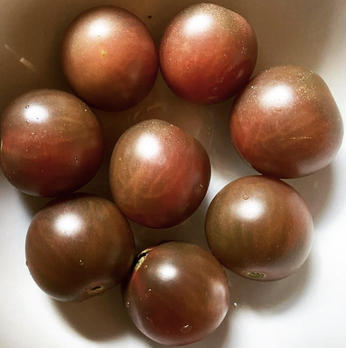 Anita Koeller Black Cherry.png