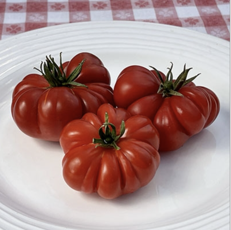 Costoluto Genovese, #1.png