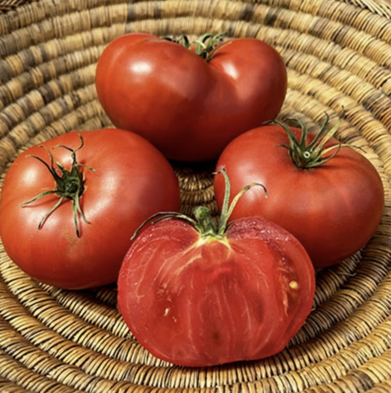 Early Wonder, #2.png