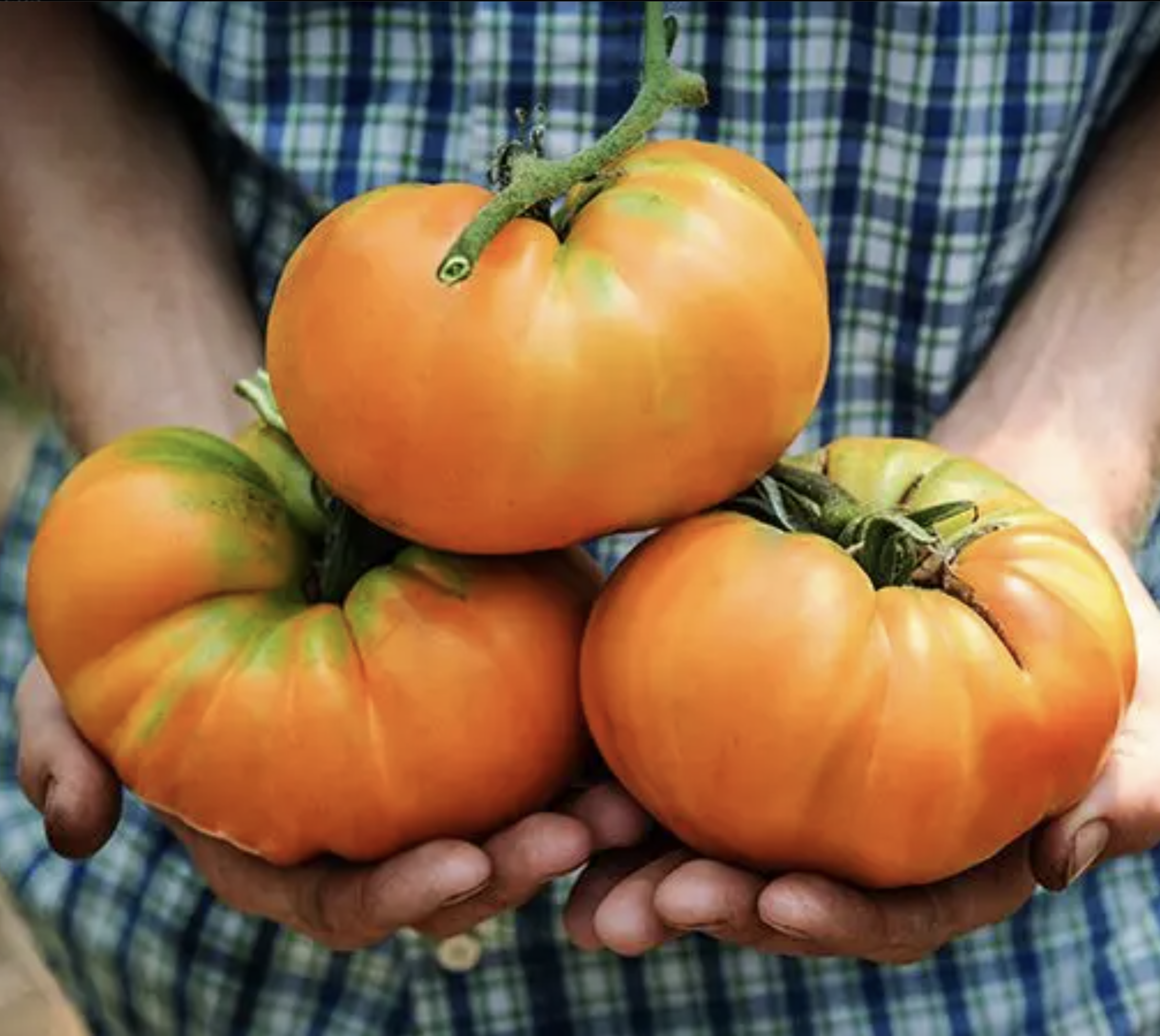 Kellogg's Breakfast, #3..png