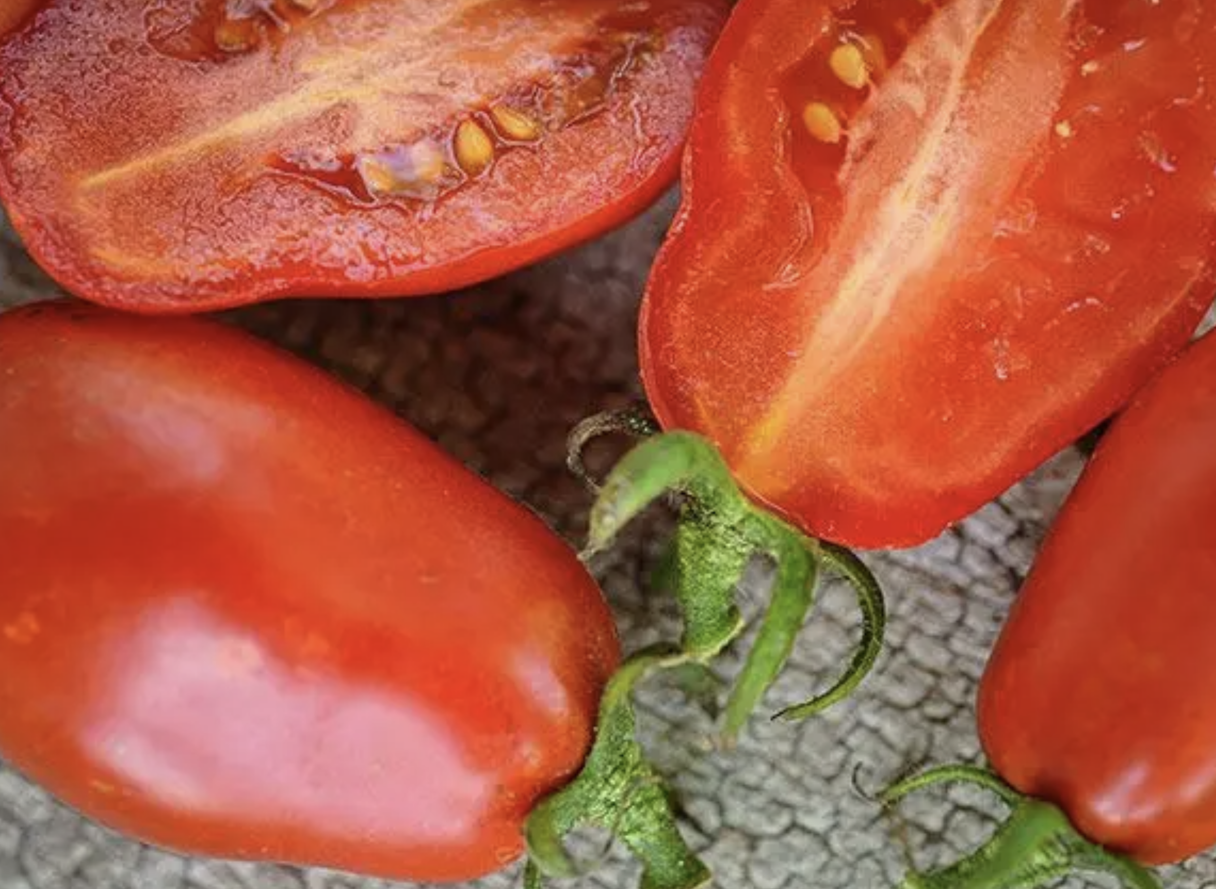 Martino's Roma, #3.png