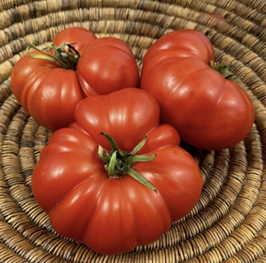 Pantano Romanesco, #2.png