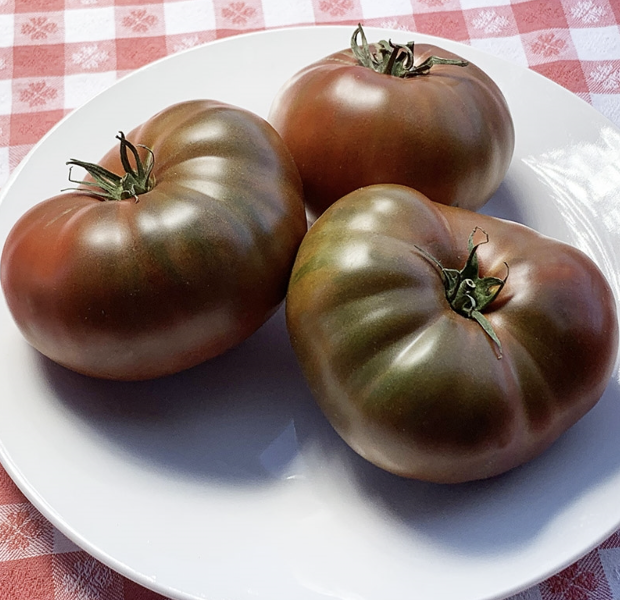 Paul Robeson, #2.png