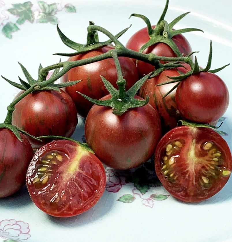 Purple Bumblebee, #2.png