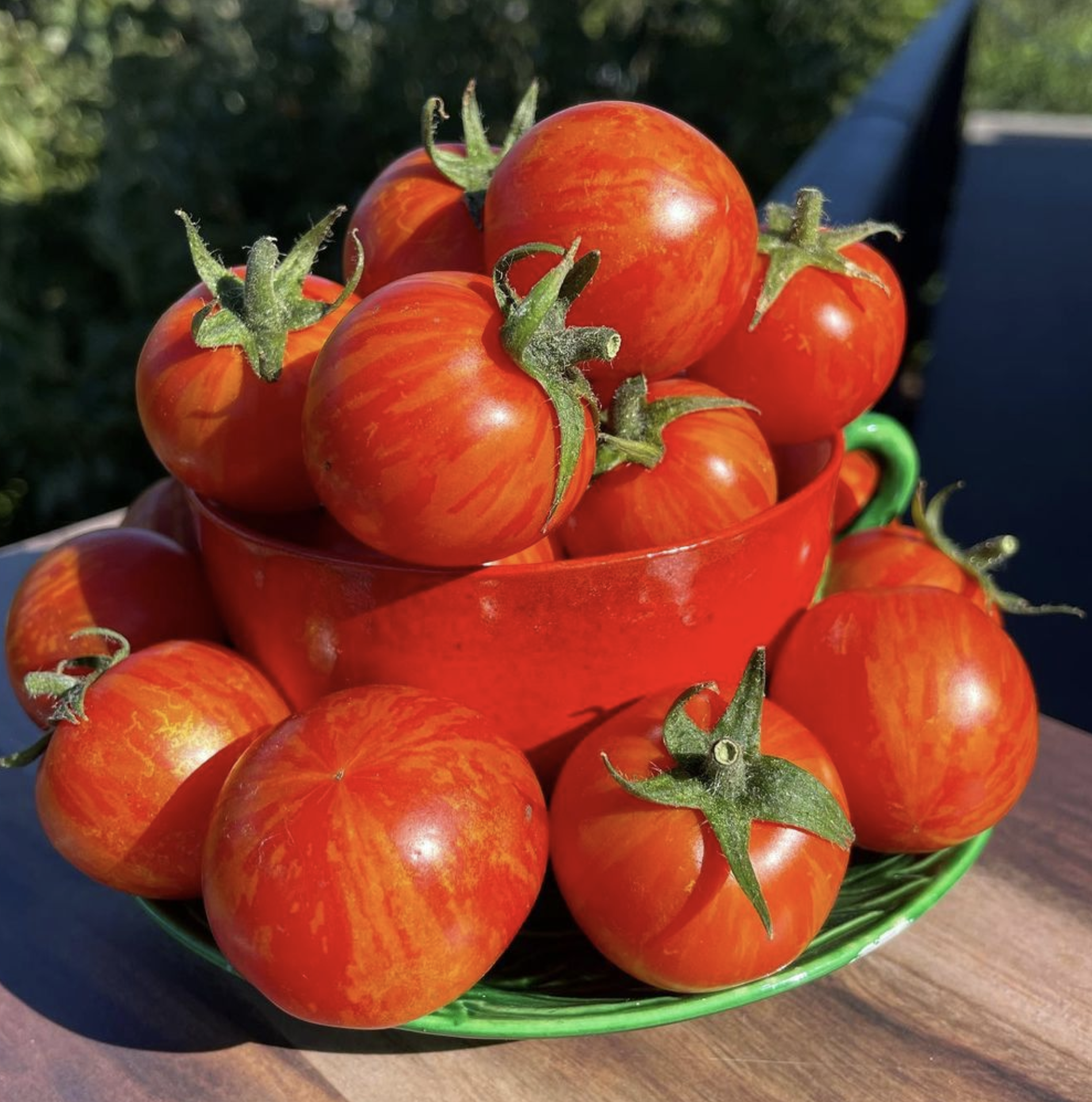 Ruby Slippers, #1.png