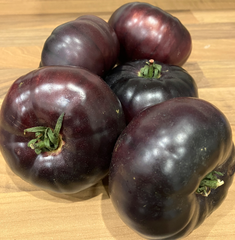 Screen Shot 2024-06-23 at 10.13.39 AM.png