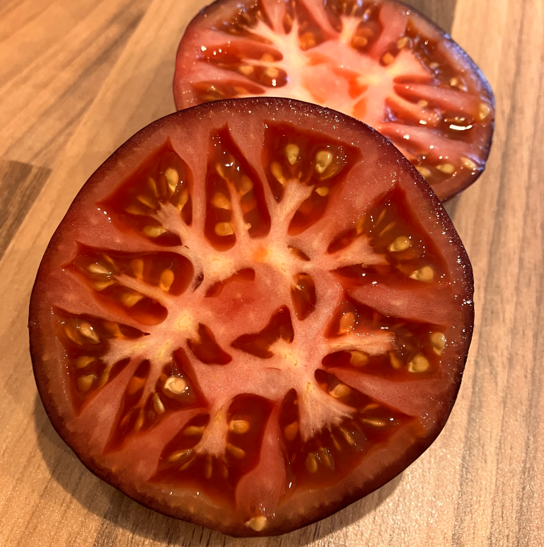 Screen Shot 2024-06-23 at 10.14.19 AM.png