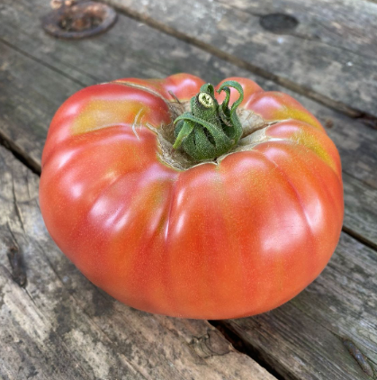 Screenshot 2026-02-07 at 9.31.09 AM.png