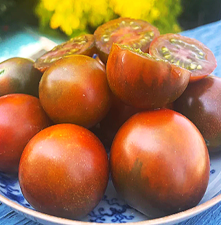 Cinnamon Girl — Chicago Tomato Man