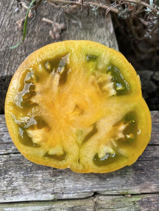 Screen Shot 2025-01-23 at 1.14.36 PM.png