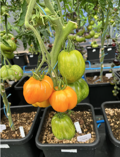 Screenshot 2025-10-27 at 1.45.21 PM.png