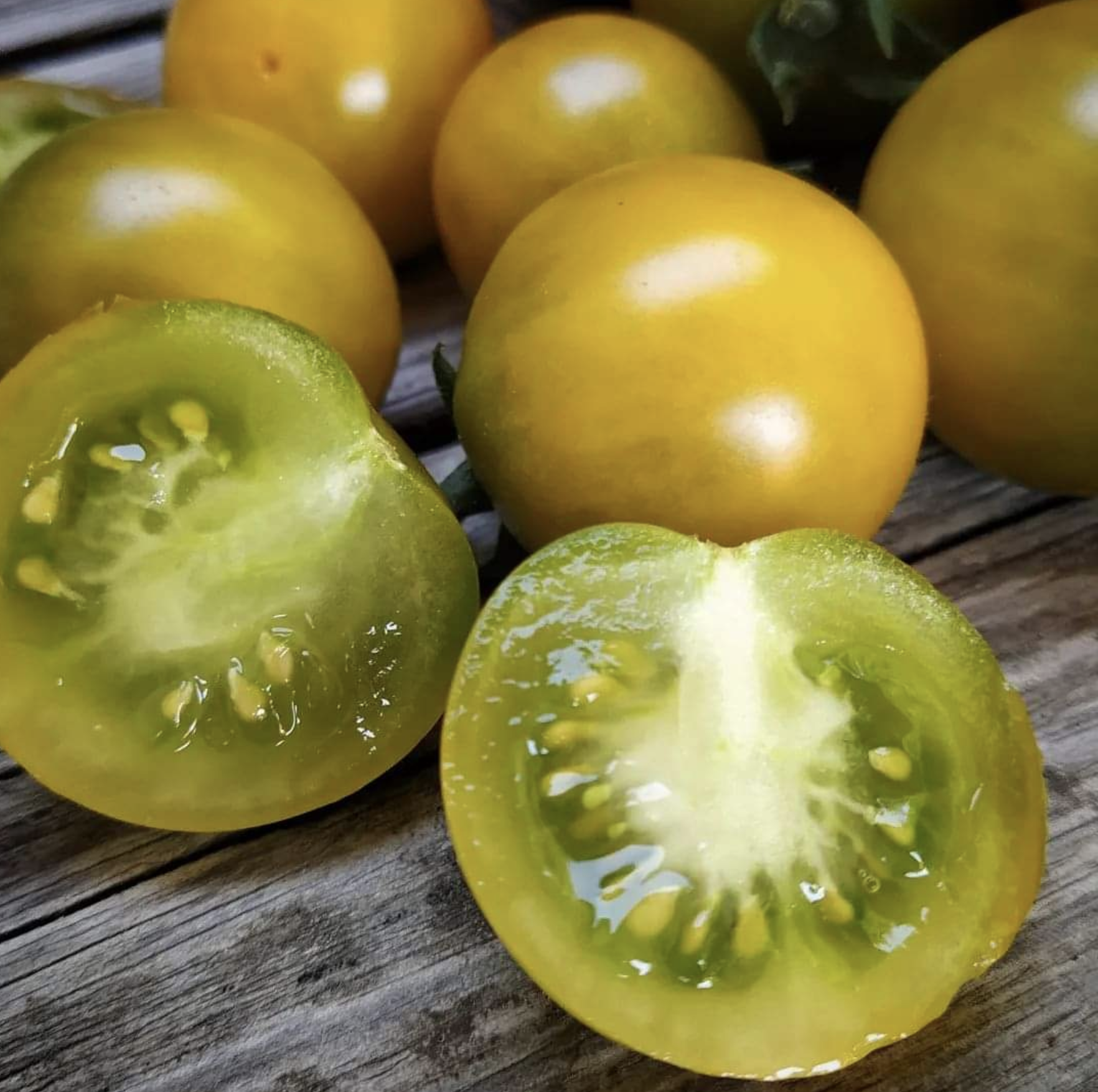 Screen Shot 2025-01-21 at 4.34.59 PM.png