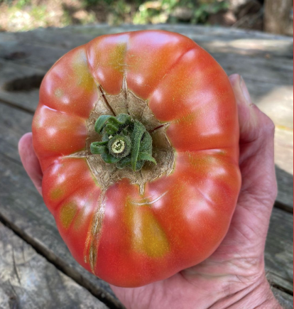 Screenshot 2026-02-07 at 9.31.27 AM.png