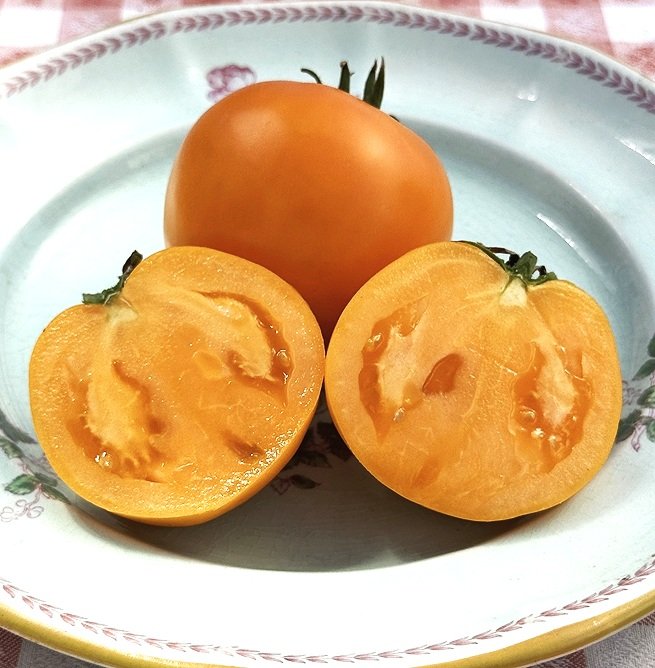 Moonglow+%233.jpg