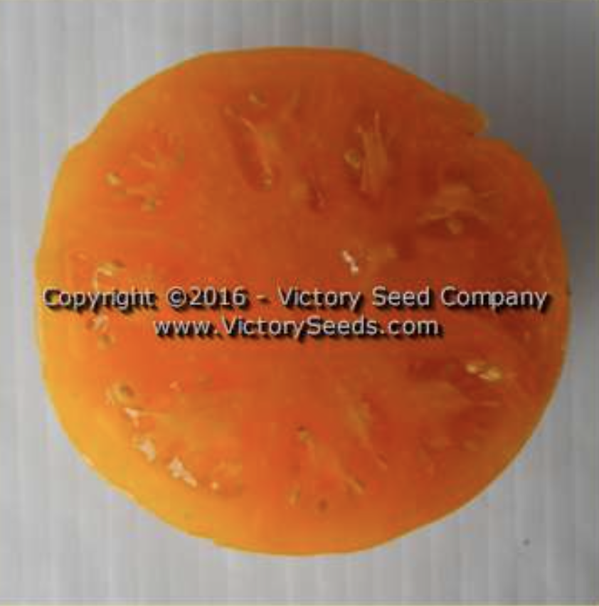 Orange Cream, #13.png