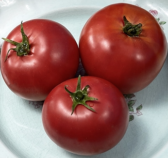 Eva Purple Ball, #3.png