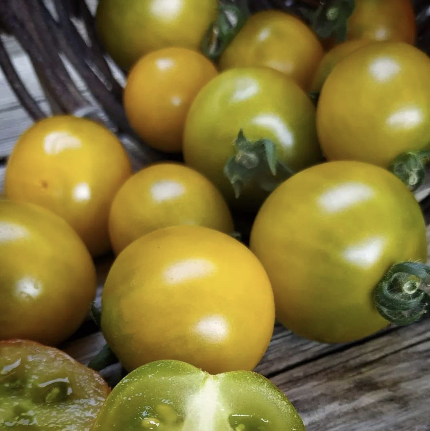 Screen Shot 2025-01-21 at 4.35.44 PM.png