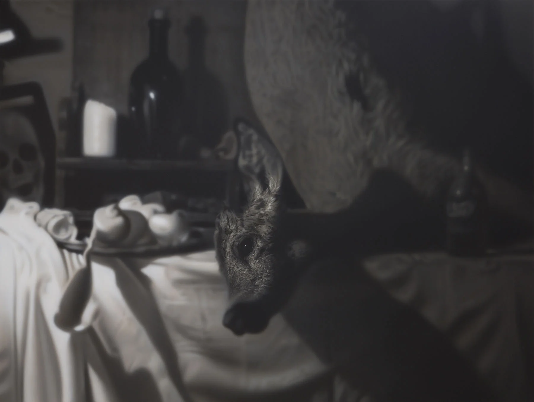 Every Minute You Are Closer to Death, 2013