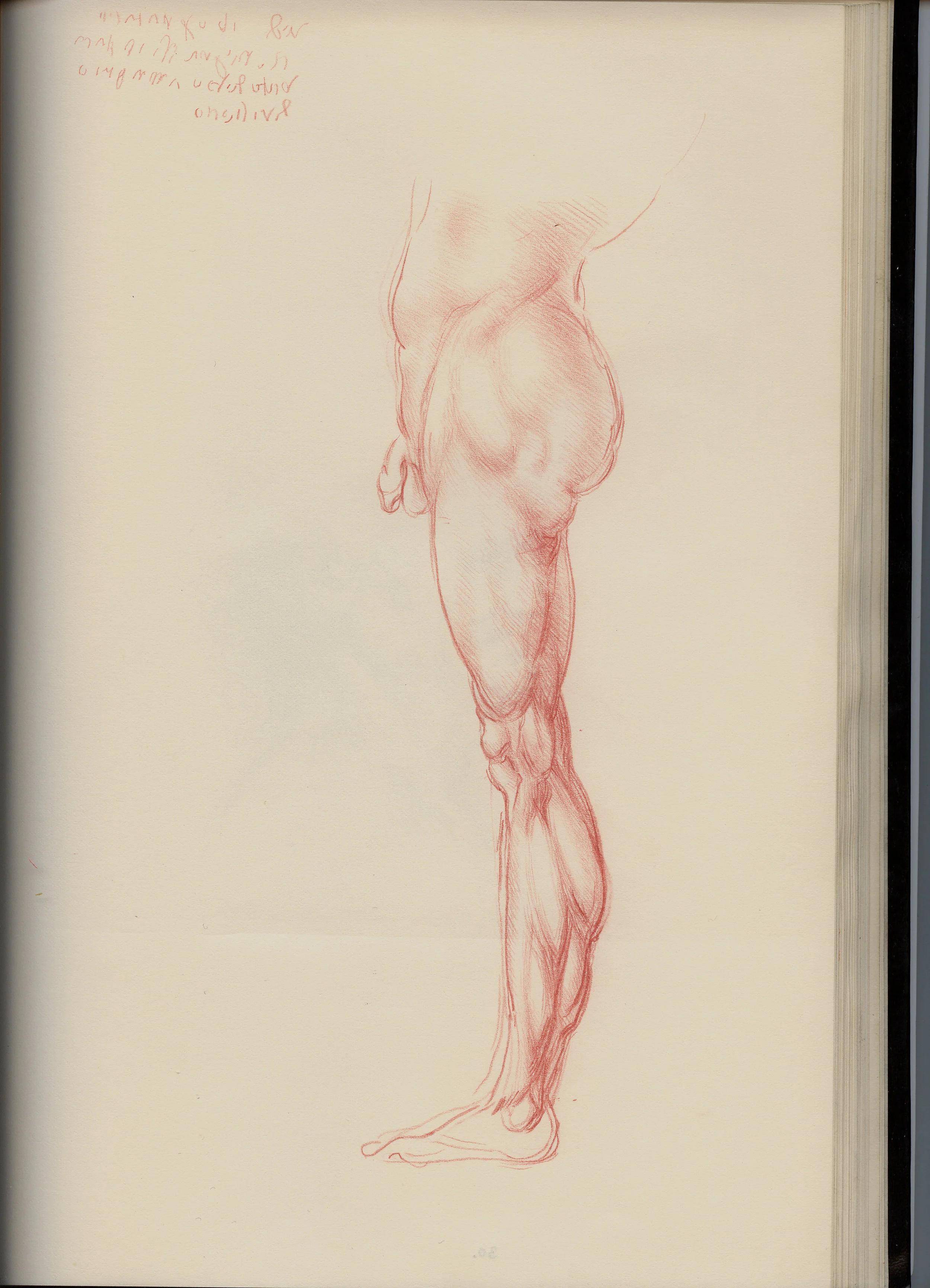 Magical Drawings, Codexes After Leonardo da Vinci & Michelangelo Buonarroti, 2002