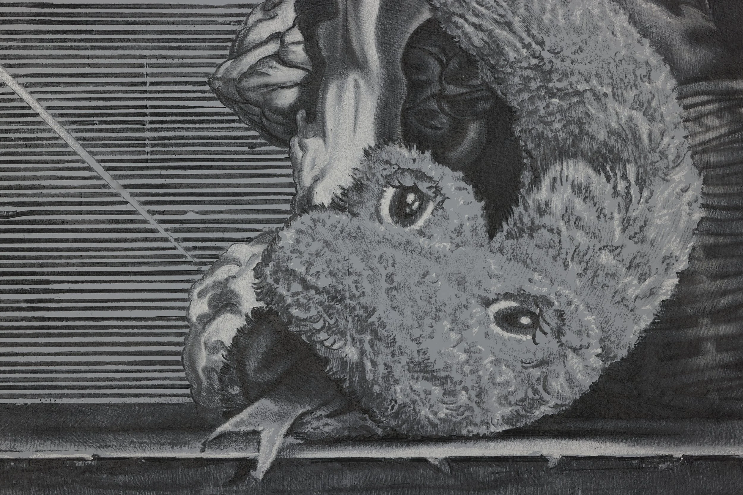  Applecore, 2026  Charcoal and white chalk on wall, 17 × 2.45m (Detail) 