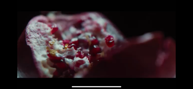 NUUXS X Jordan Rossi