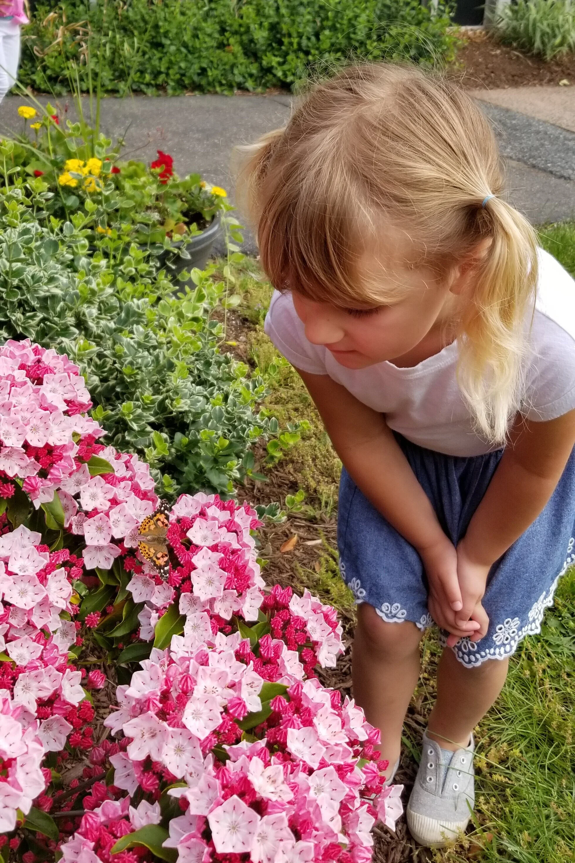 20190605_093233.jpg