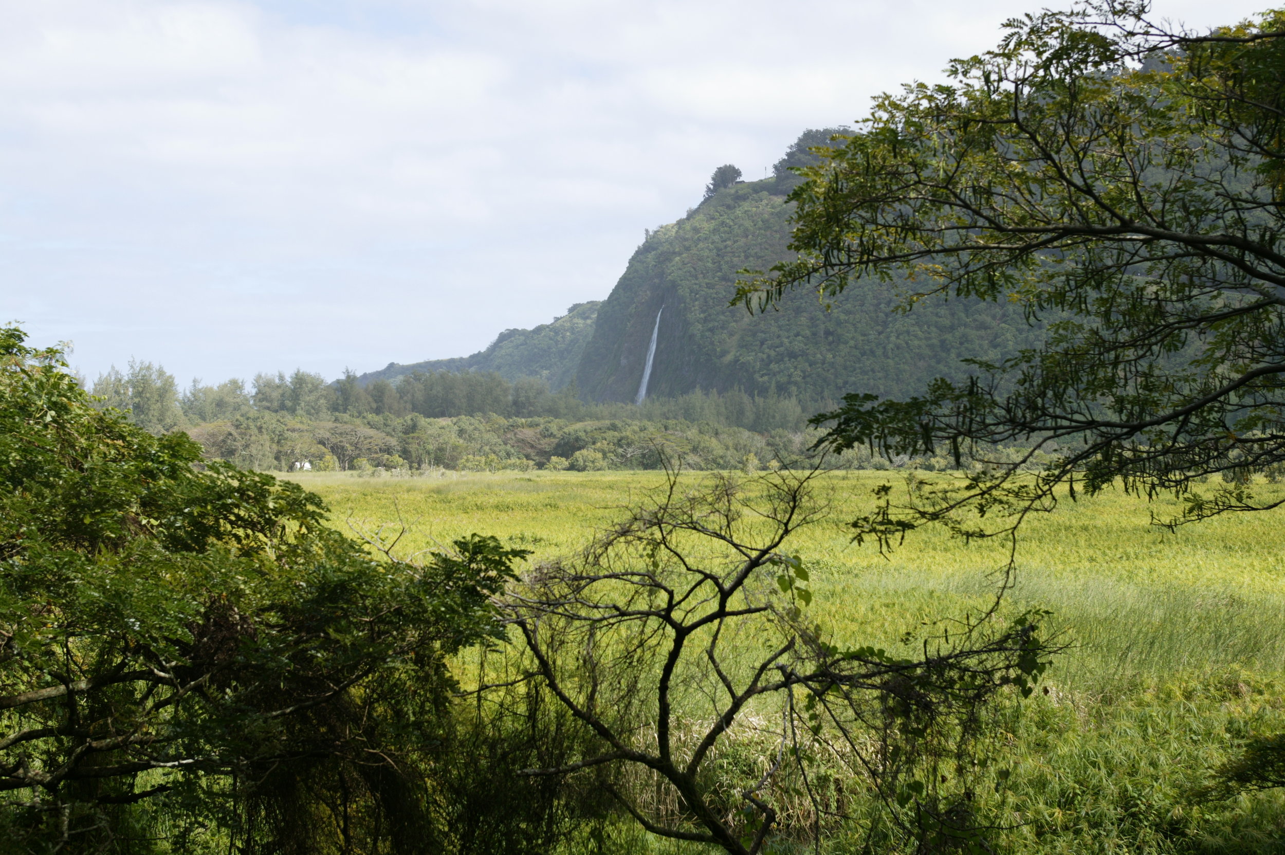 Ancient Hawaiian Rituals and Mythology