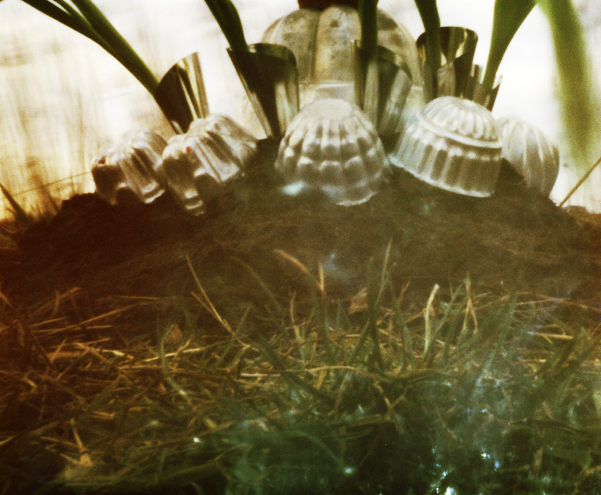 dutch_pinhole_2.jpg