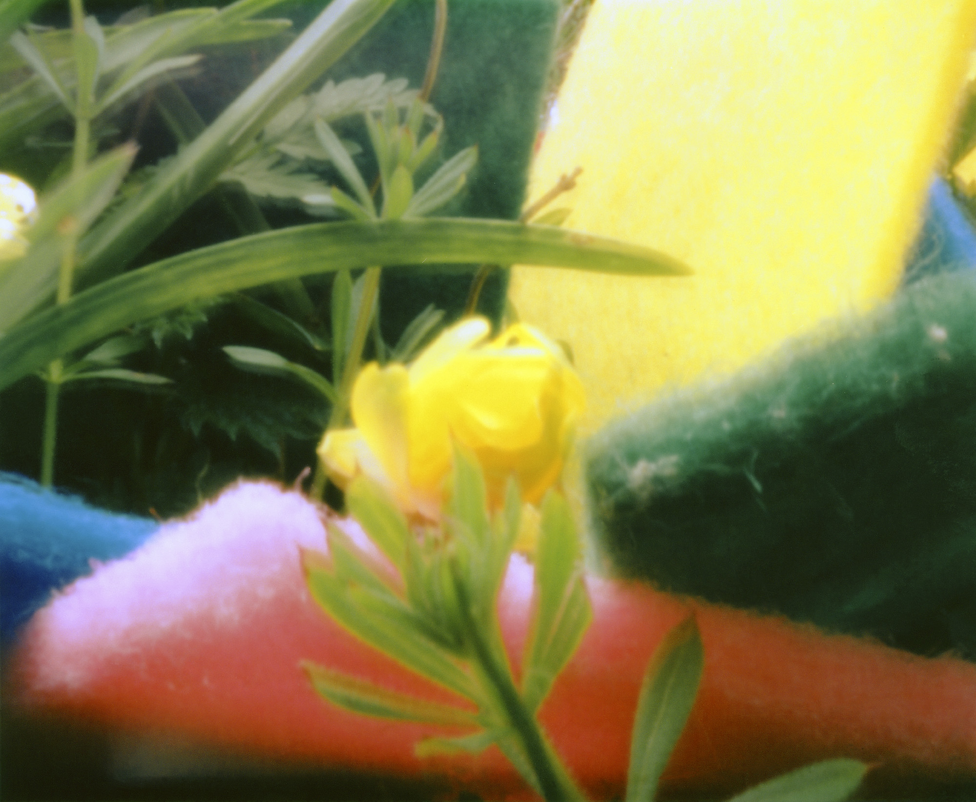 springclean2.psdsm.jpg