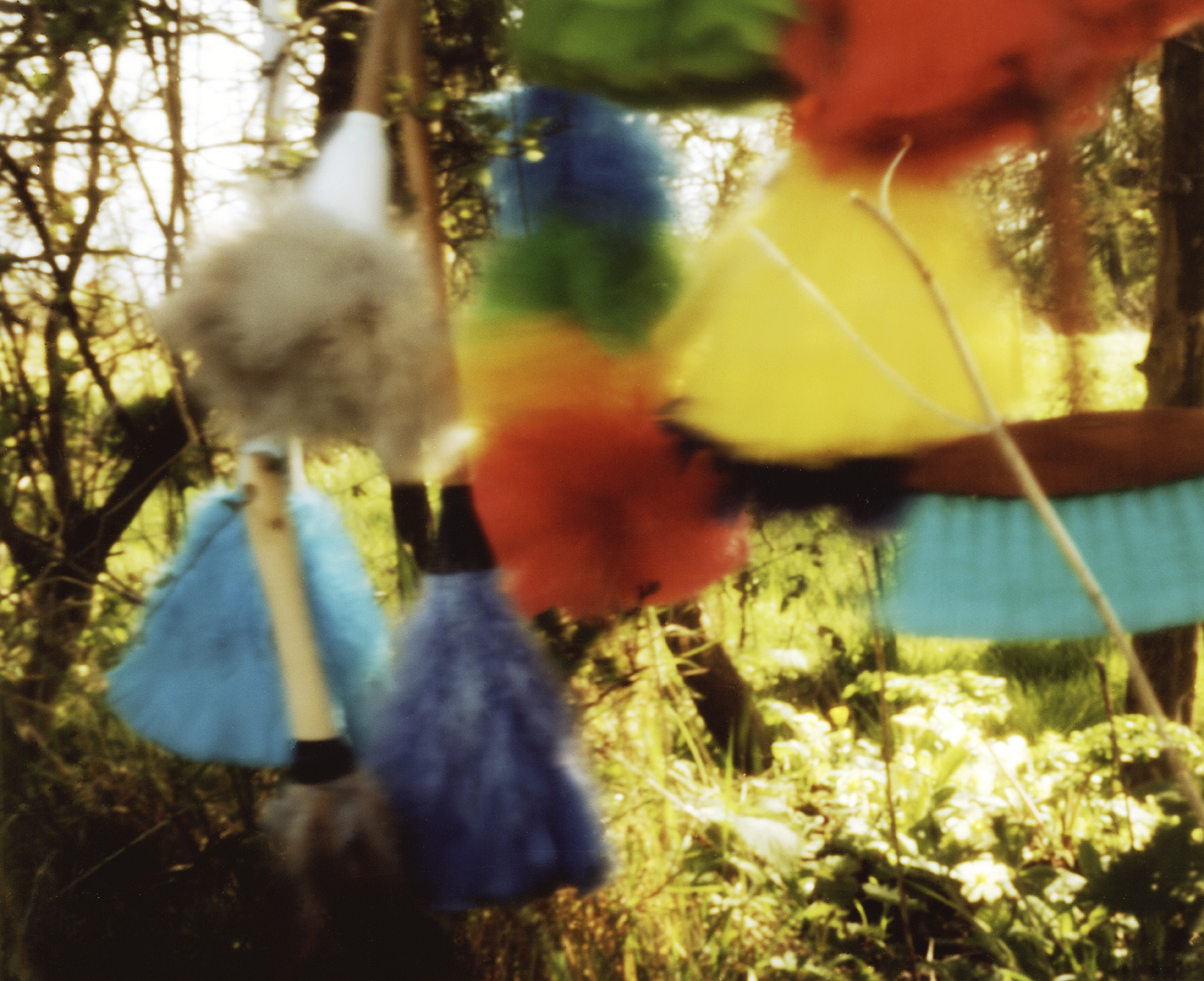 springclean1.jpg