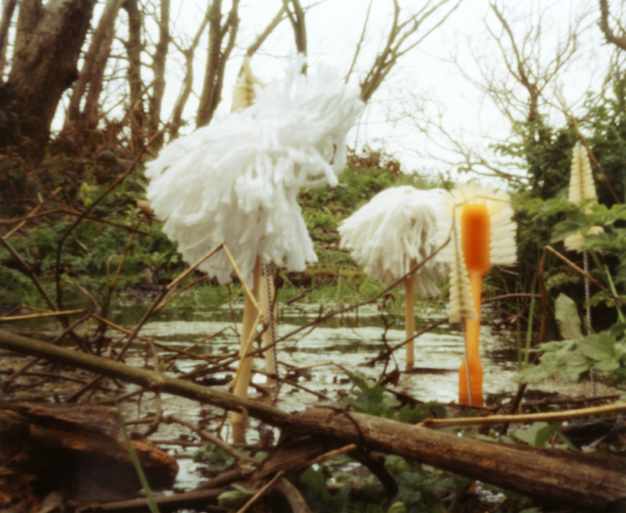springclean3.psdsm.jpg