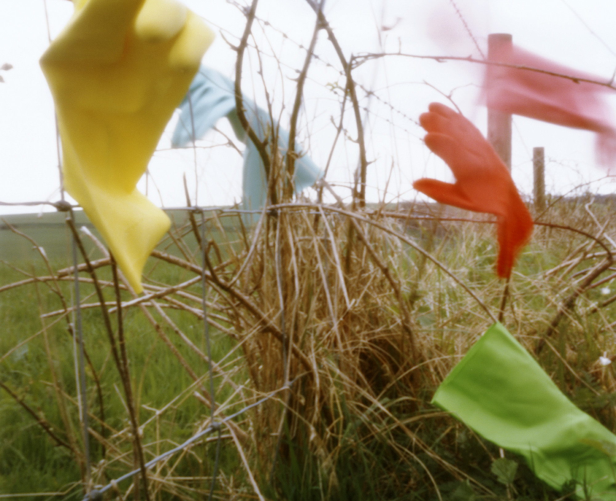 springclean4.psdsm.jpg