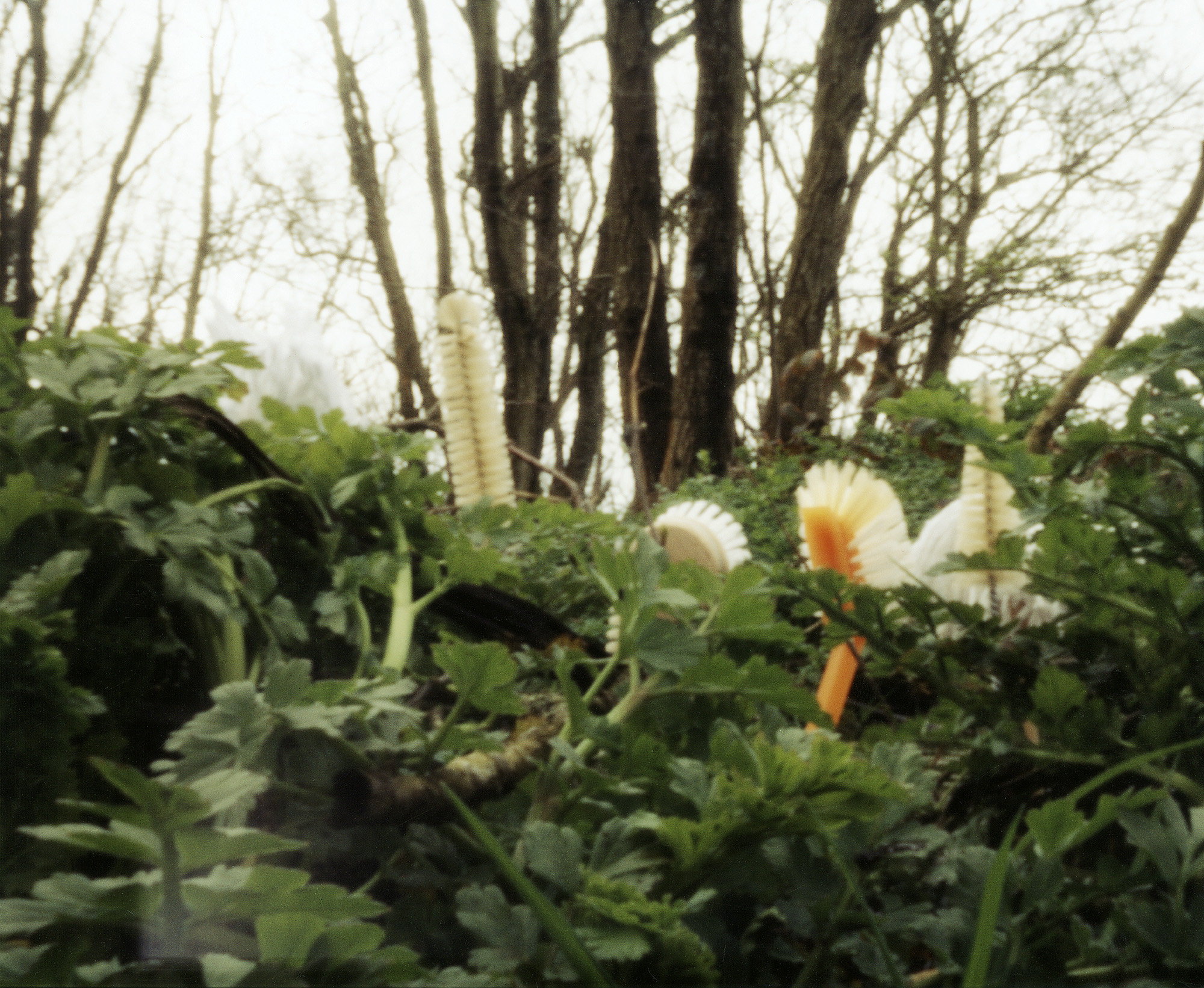 springclean5.psdsm.jpg