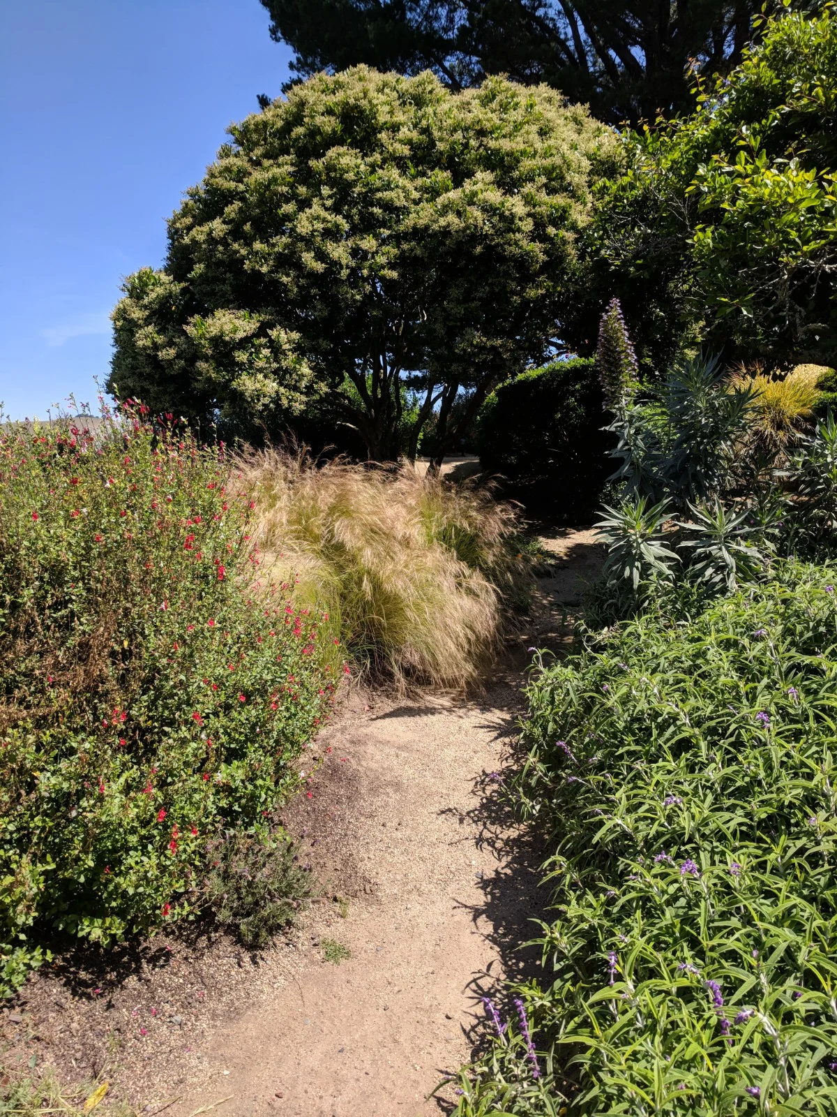 IMG_20190529_112727.jpg