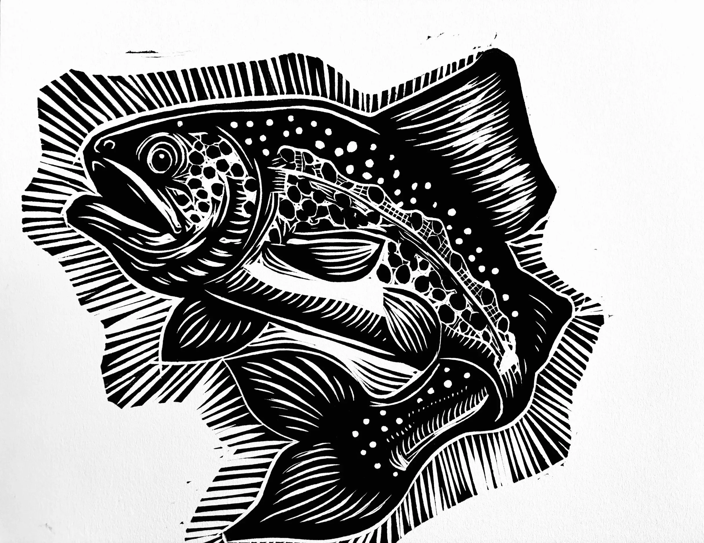 Rainbow Trout
