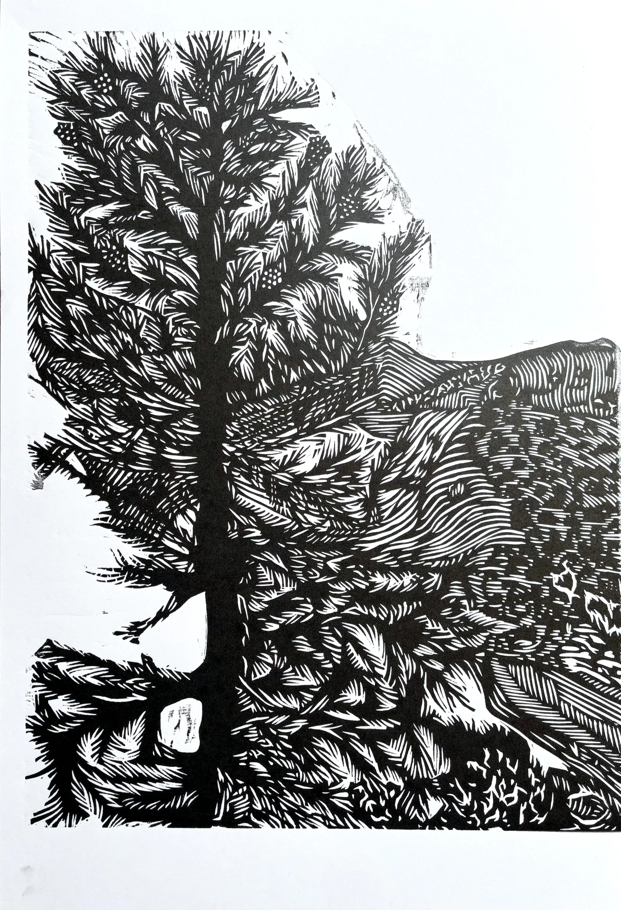redpine.jpg