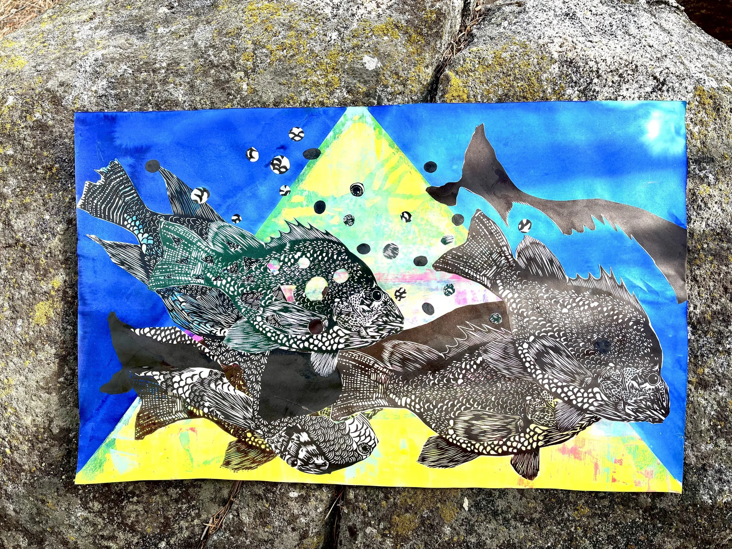 School of Fish