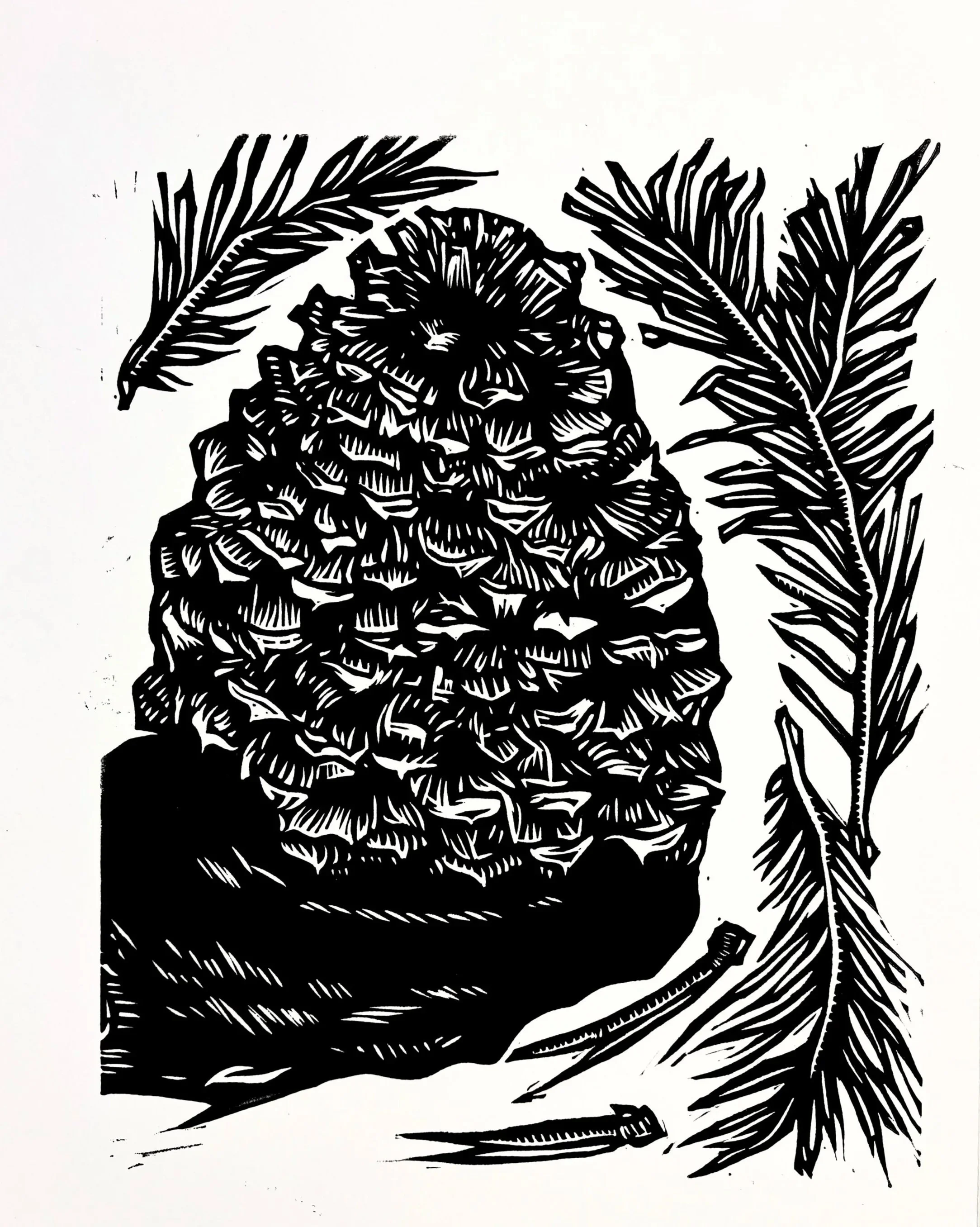 Pinecone